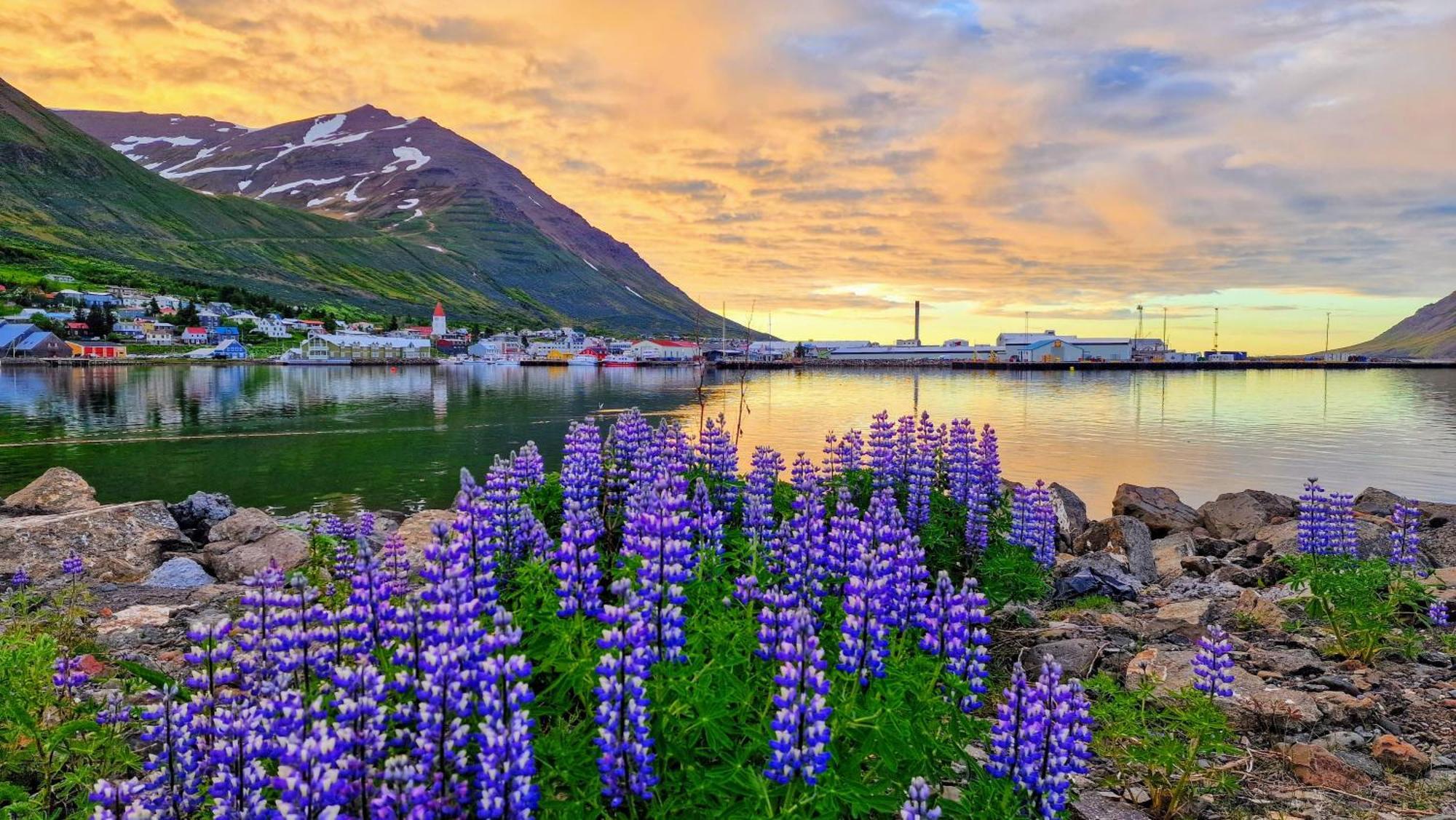 Landakot The Perfect Getaway By Staynorth Siglufjordur エクステリア 写真
